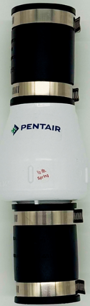 Pentair Check Valve