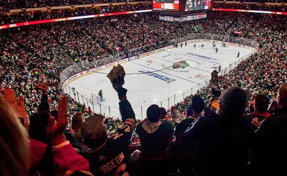 wild hockey game