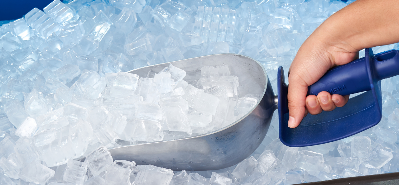 scoop, manitowoc, ice scoop, ice machine, sanitation